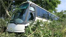 hl-bus_10