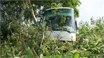 hl-bus_11